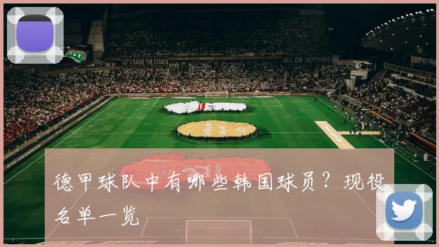 德甲球队中有哪些韩国球员？现役名单一览