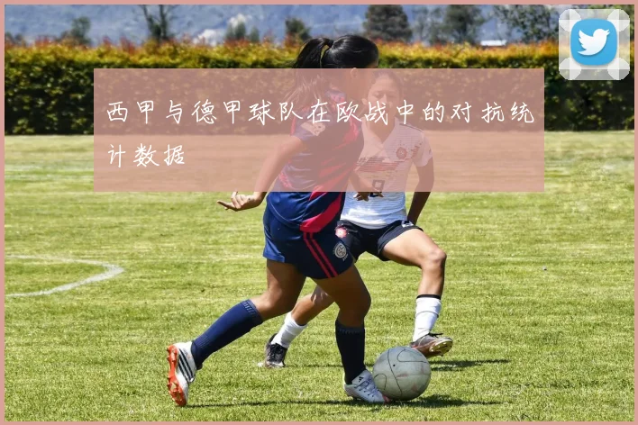 西甲与德甲球队在欧战中的对抗统计数据