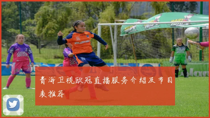 青海卫视欧冠直播服务介绍及节目表推荐